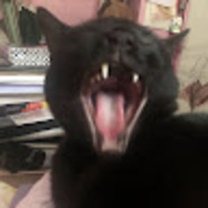 Meet your Posher, Charliz